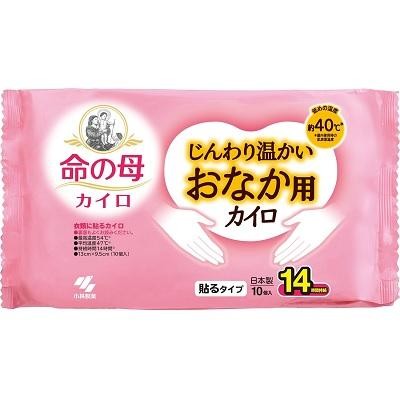 アイリスオーヤマ ぽかぽか家族 貼らない ミニ 10個（×100セット