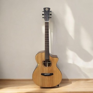 木吉他 【TRUETONE】GM-1C 雲杉面單 桃花心側背木吉他 贈送原廠琴袋、彈片、調音器 原廠公司貨