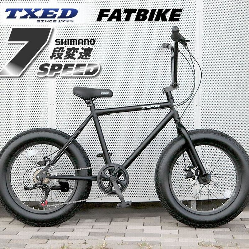 送料無料】ファットバイク ビーチクルーザー 自転車 20インチ 前後