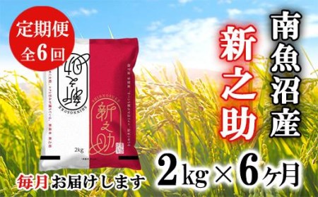 南魚沼産新之助2kg×6回