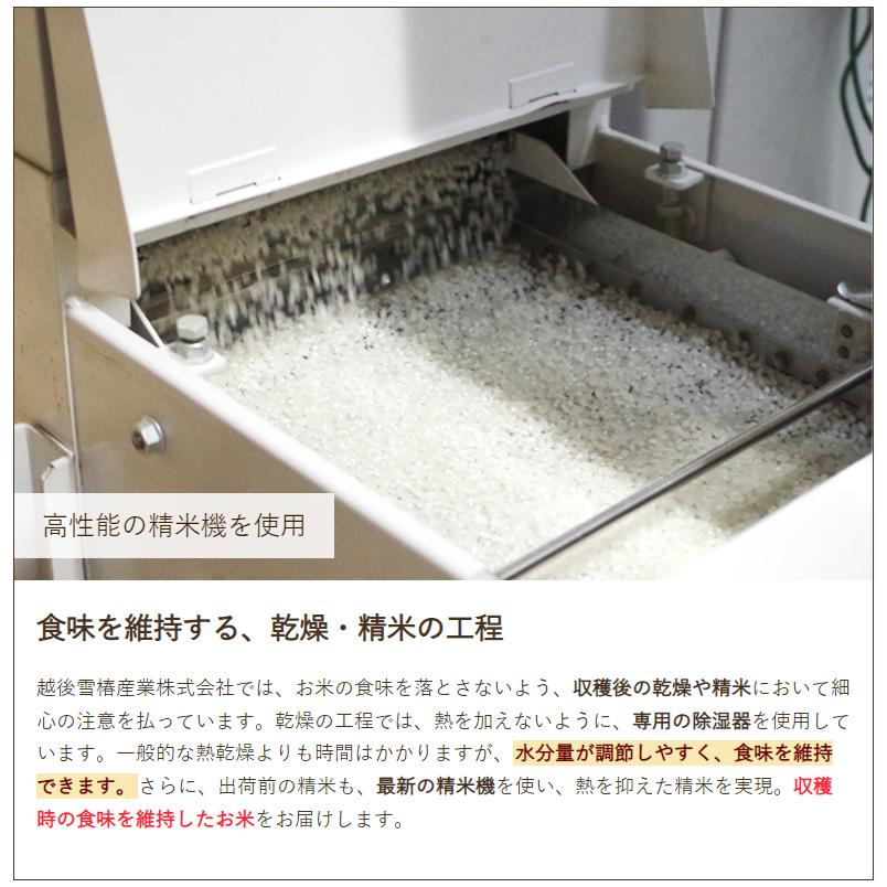 特別栽培米（減農薬・減化学肥料）魚沼産コシヒカリ「雪椿」精米5kg 越後雪椿産業株式会社 送料無料