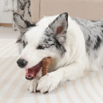 【MPETS】一起舒緩壓力吧! 犬用造型咬骨玩具