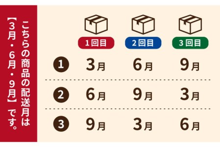 こだわりの五島ハヤシ10箱セット 化学調味料・着色料不使用 創作郷土料理いつき 五島産 牛肉 野菜五島市 出口さんご[PBK019]