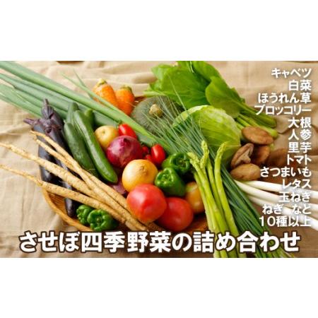 ふるさと納税 させぼ四季野菜の詰め合わせ 長崎県佐世保市