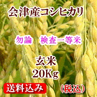令和５年 福島県会津産コシヒカリ 玄米20kg（精米無料）