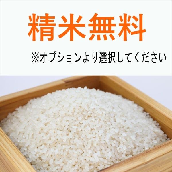 茨城県産コシヒカリ 24kg 玄米（精米無料）