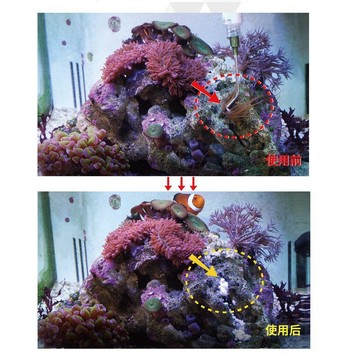 台灣發票快速出貨 垃圾海葵100ML 清除劑 小丑魚 垃圾海葵清除劑 邁光科技 海葵清除劑 珊瑚缸 海水缸 珊瑚 海葵