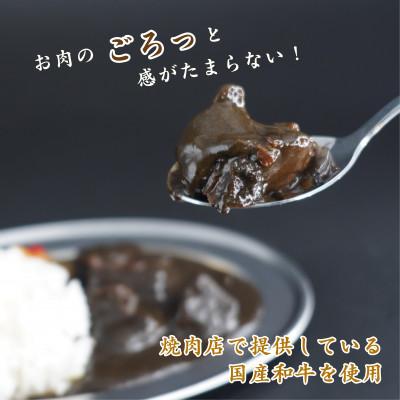 ふるさと納税 松浦市 焼肉きんのビーフカレー　4袋