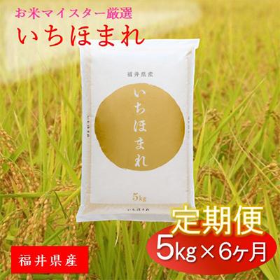 ふるさと納税 鯖江市 福井県産  いちほまれ 5kg全6回