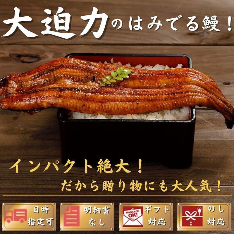 池澤鮮魚 国産 うなぎ 超特大 蒲焼き 250g以上×2尾 誕生日 ギフト (贈答用ギフト包装)