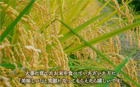 さがびより 夢しずく 無洗米 4kg 2kg×2 )特A評価 特A 特A米 米 定期便 お米 佐賀 [HBL036]