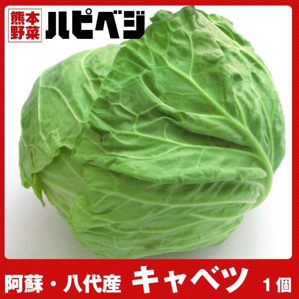 キャベツ同梱専用　※こちらの商品は野菜セット購入した方のみの同梱商品になります。