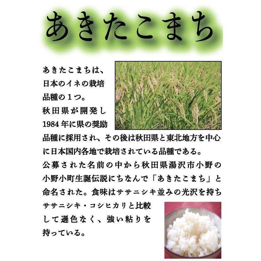 お米 米 10kg 白米 送料無料 宮崎県産 あきたこまち 新米 令和5年産 5kg2個 みやざきのお米 富田商店 とみた商店