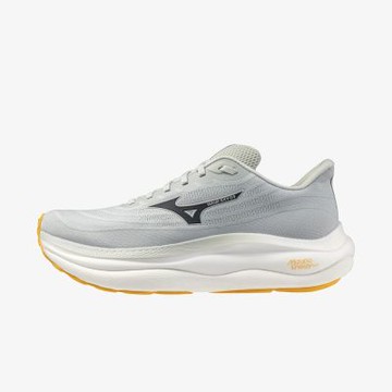 Mizuno Wave Sky 9 [J1GC251103] 男 慢跑鞋 超寬楦 彈力 支撐 緩震 灰