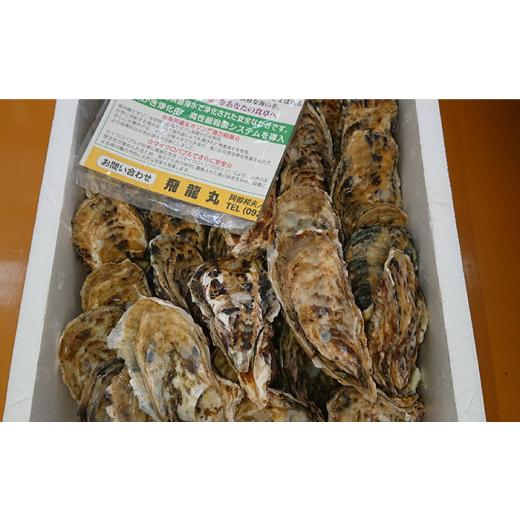 ふるさと納税 福岡県 糸島市 福吉 の 牡蠣 殻付き 生食用 3kg (簡易 ナイフ 付き) 福岡県 糸島産 糸島 ／ かきの阿部 飛龍丸 [AZB002] 牡蠣 生カキ