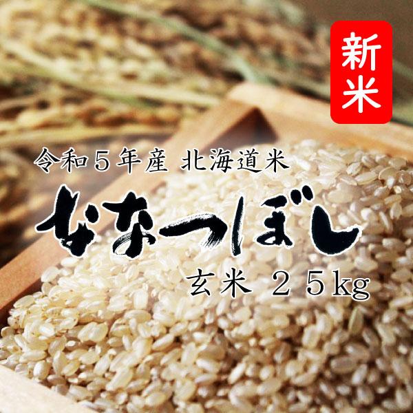 新米 米25kg お米 北海道米 ななつぼし 玄米 25kg 5kg×5 令和５年産 送料無料