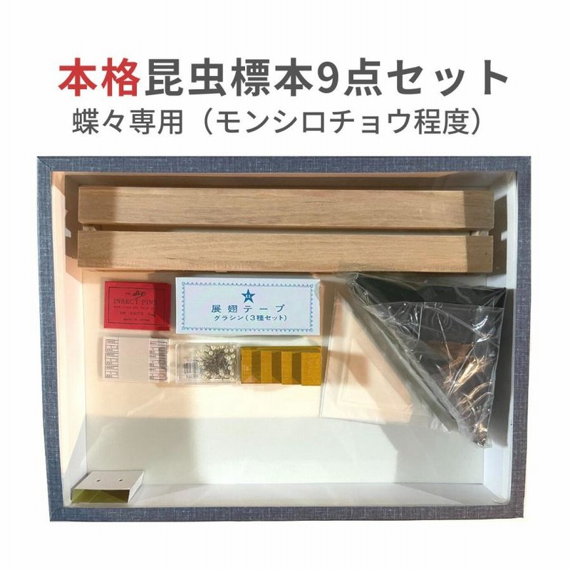 昆虫 標本 セット 蝉 蝶 トンボ みんなも、昆虫調査員！ この