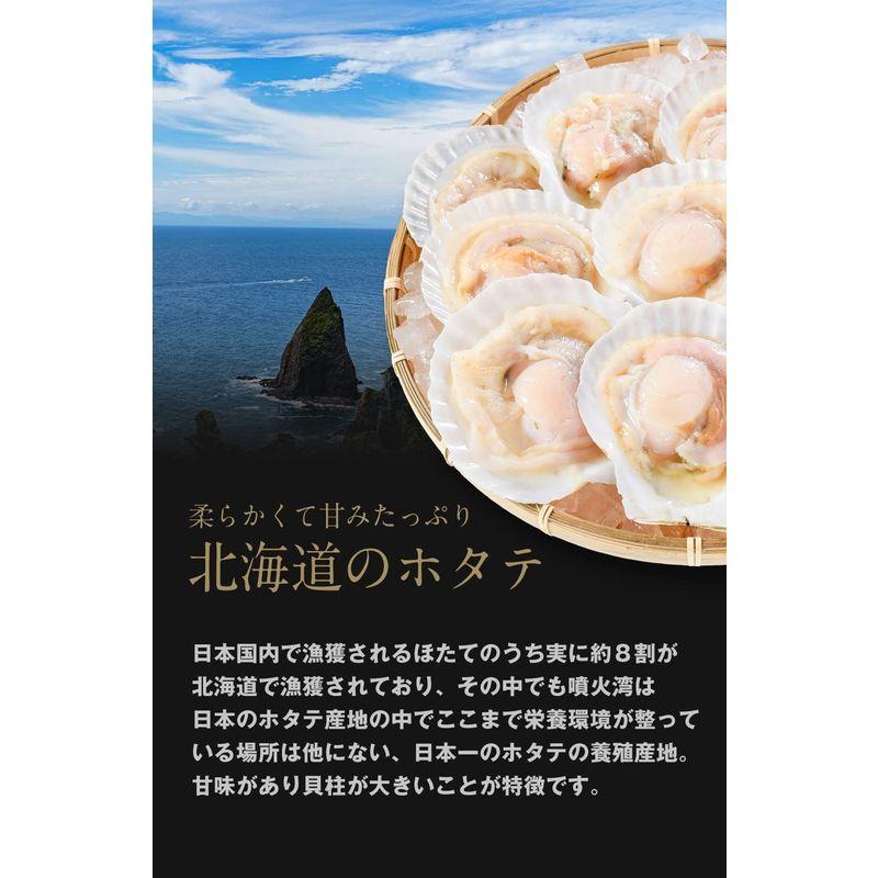 片貝付き ほたて 10枚 北海道産 バーベキュー BBQ