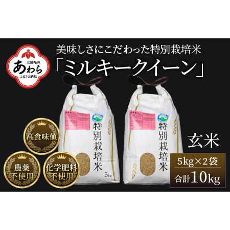 ふるさと納税 特別栽培米 ミルキークイーン 玄米 5kg×2袋（計10kg） 農薬不使用 化学肥料不使用 ／ 高品質 鮮度抜群 福.. 福井県あわら市