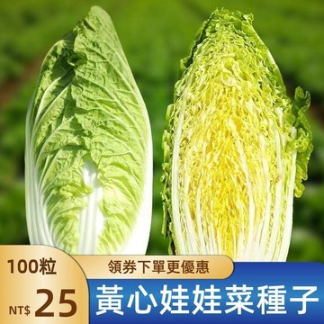 🥬【黃心娃娃菜種子】🥬新種現貨 四季黃金黃心娃娃菜種子 |春秋早熟 | 高產農家蔬菜種子 | 四季田園庭院盆栽種子 |
