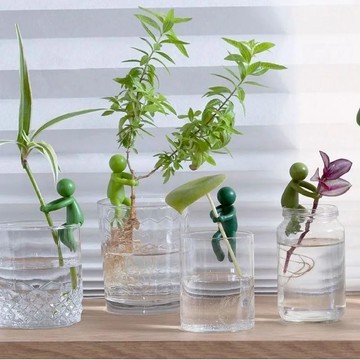 【店長推薦🔥】水培植物扶正伴侶固定魚缸辦公裝飾理線園藝神器水培其它園藝用品