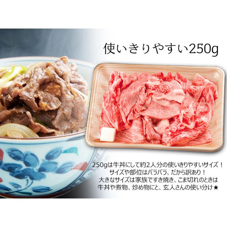 肉 訳あり 飛騨牛 切り落とし 500g 牛肉 黒毛和牛 わけあり お取り寄せグルメ