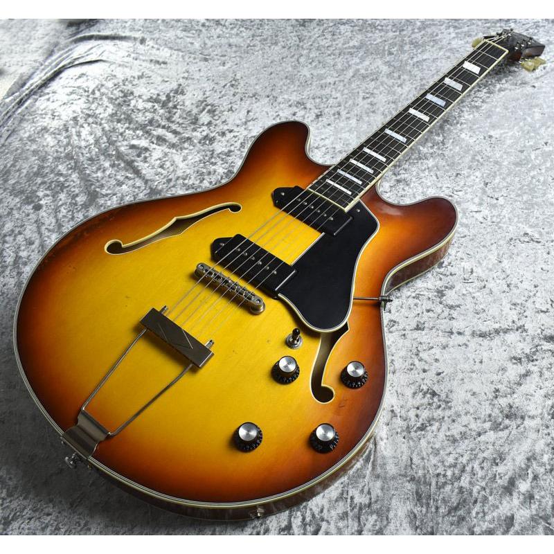 Eastman T-64VT 《Golden Burst》S N P2300440