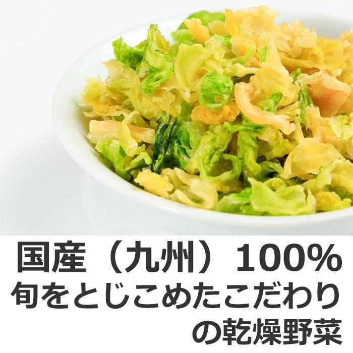 乾燥キャベツ　125ｇ　 国産 九州産乾燥野菜