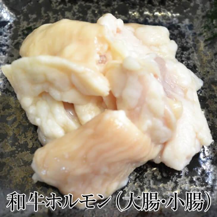 和牛ホルモン 100g × 1パック 和牛 高品質 牛肉 大腸 小腸 上ホルモン おつまみ ご飯のお供 焼肉 ギフト プレゼント 小分け 国産 業務用 送料無料 サンシャイ…