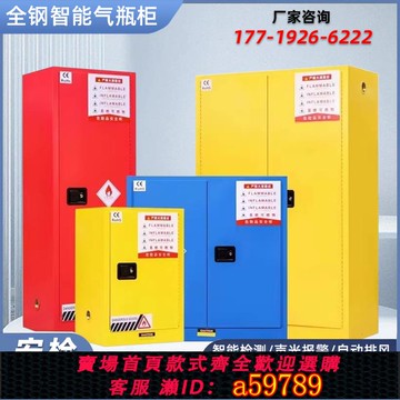 【全網低價 可打統編】全鋼防爆氣瓶柜安全柜實驗室pp酸堿柜煤氣罐乙炔氮氣氫氣瓶儲存柜