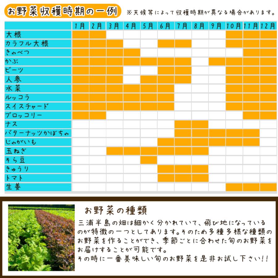 三浦野菜 じゃがいも きたあかり 1kg 送料半額 東日本 神奈川県産