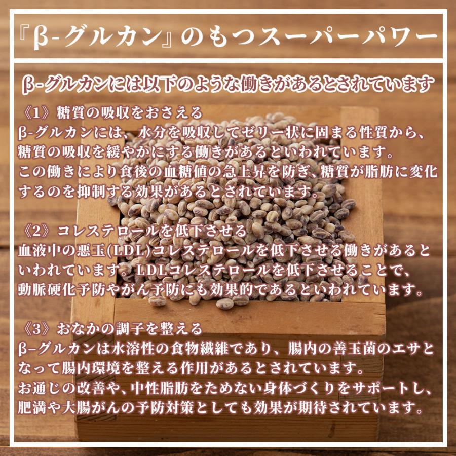 セール 国産 もち麦 9kg(450g×20袋) （翌日発送） 無添加 無着色 雑穀 雑穀米 ダイエット 置き換え 食品 食物繊維 送料無料