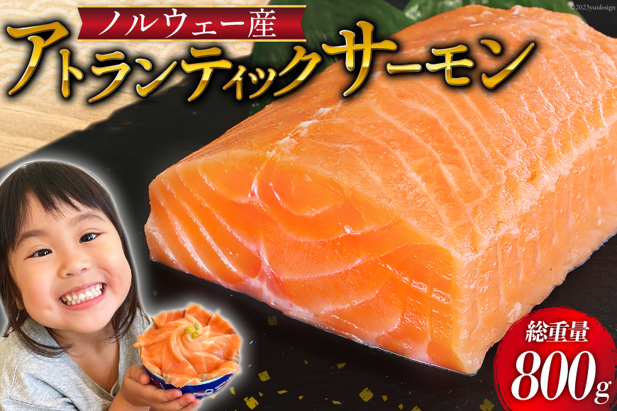 ノルウェー産 アトランティックサーモン 総重量800g(正味重量680g) [カネダイ 宮城県 気仙沼市 20562809] 魚 魚介類 サーモン 刺身 小分け 鮭