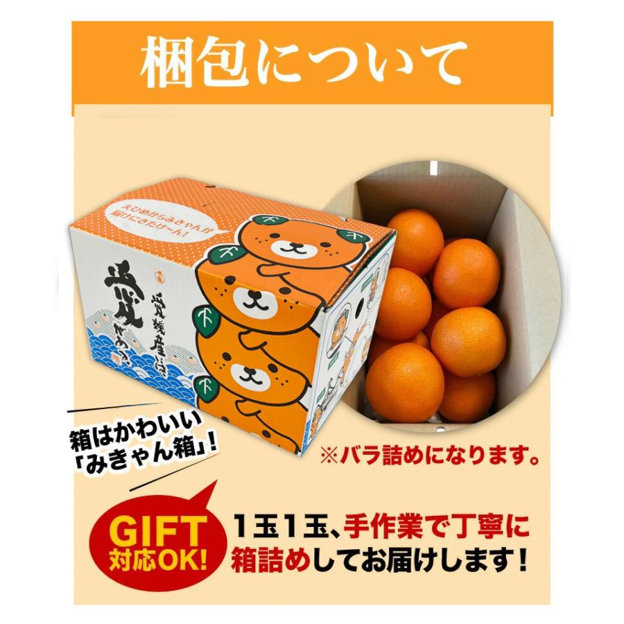 早期予約 12月発送 ギフト みかん 中島あいか 贈答用 青秀クラス 2L・L玉×2.5kg 愛媛県中島産 愛媛みかん フルーツ 果物 送料無料 J常