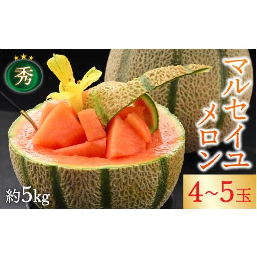 ふるさと納税 福井県 あわら市 ＜秀品＞ マルセイユメロン 約5kg 4〜5