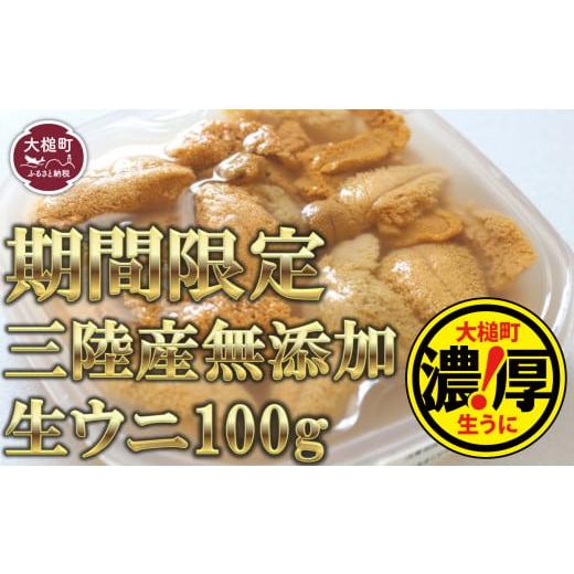 ふるさと納税 岩手県 大槌町 天然生うに100g ［05］