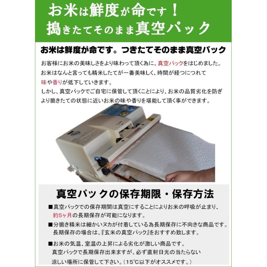 佐賀県産　夢しずく　令和5年産