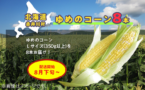 北海道赤井川村のトウモロコシ：配送８月～