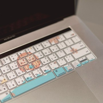 櫻花樹下 の 達摩富士山 / 鍵盤膜