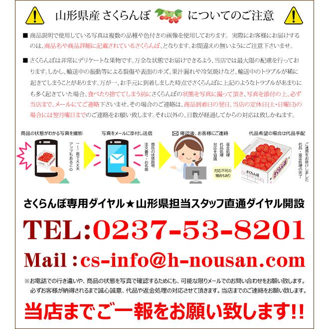 山形県産 さくらんぼ 紅秀峰 (秀品 2Lサイズ 1箱24粒入り 化粧箱入り) 手詰め お中元 ギフト 贈り物 プレゼント 送料無料 お取り寄せ