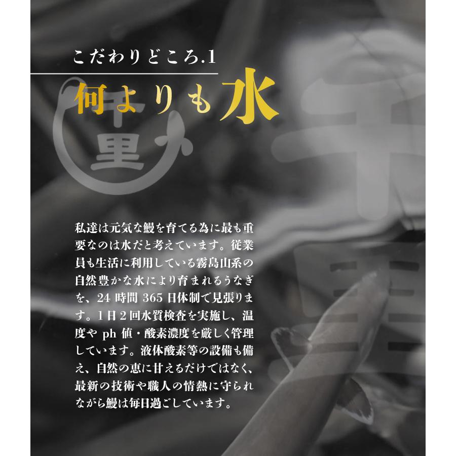 ギフト うなぎ 蒲焼 千里うなぎ 送料無料 ギフト 千里うなぎ蒲焼 (大) １５０ｇ 無頭 ３尾 国産 うなぎ セット 冷凍発送  鰻 ウナギ 鹿児島