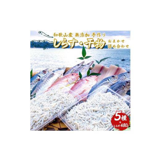 ふるさと納税 和歌山県 湯浅町 DL6002n_しらす ・ 干物 おまかせ詰め合わせ セット B