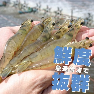 頂極鮮凍藍鑽蝦1盒組(1000公克/1盒)【599免運】