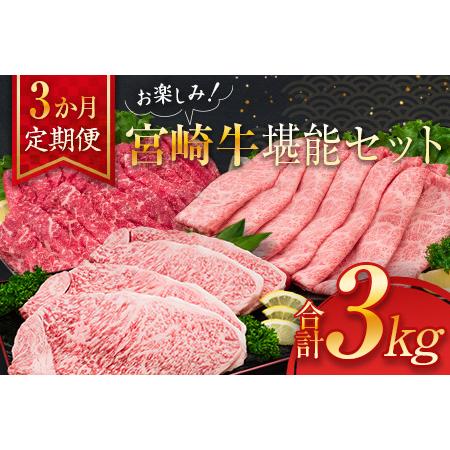 ふるさと納税 ≪3か月お楽しみ定期便≫宮崎牛堪能セット(合計3kg)　肉　牛　牛肉　国産 KC1-23 宮崎県日南市