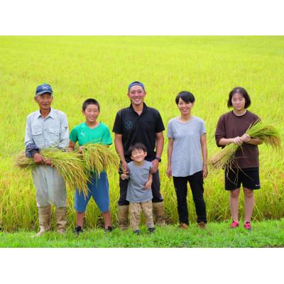 ふるさと納税 南魚沼市 南魚沼産 ~新之助~ 精米 (10kg)