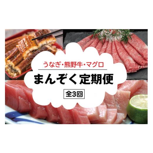 ふるさと納税 和歌山県 新宮市 まんぞく定期便！うなぎ・高級和牛・マグロ　人気返礼品を3回お届け♪ ／ 本まぐろ まぐろ うなぎ 鰻 肉 牛肉 …