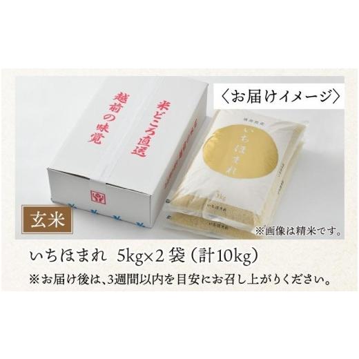 ふるさと納税 福井県 あわら市 いちほまれ 玄米 5kg×2袋（計10kg）《新鮮な高品質米をお届け！》／ 福井県産 ブランド米 ご飯