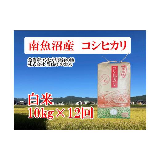 ふるさと納税 新潟県 南魚沼市  コシヒカリ 白米10kg×12回