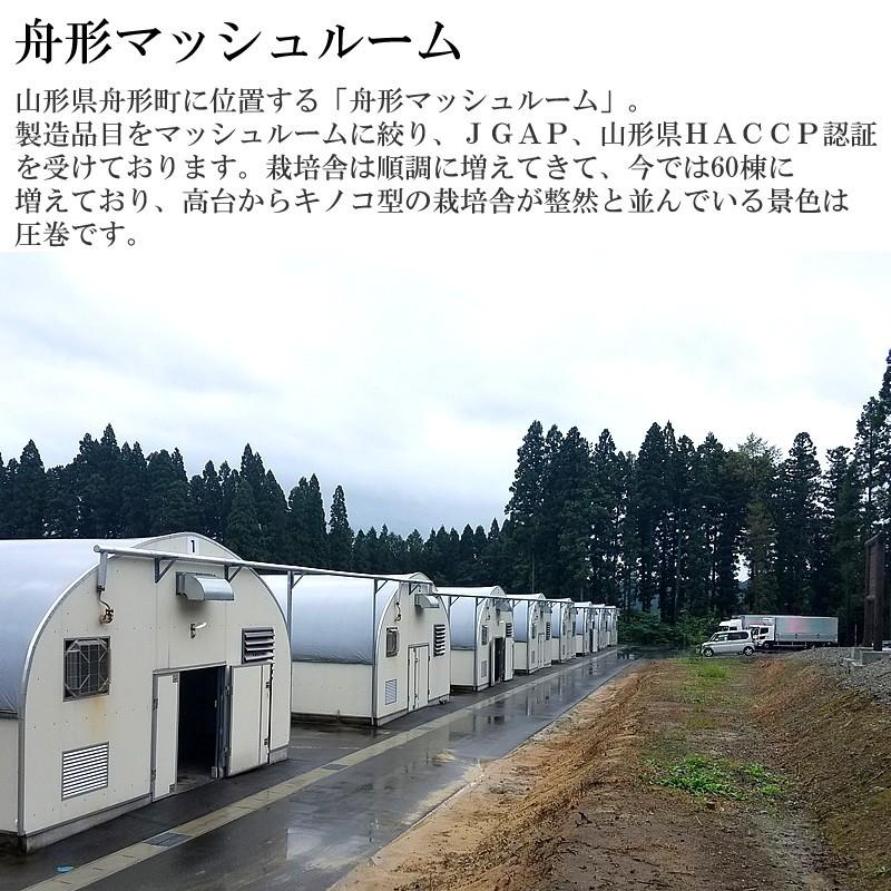 山形県舟形町産 山形県舟形町産 舟形マッシュカレー メール便 [舟形マッシュカレー S2] ゆうパケ