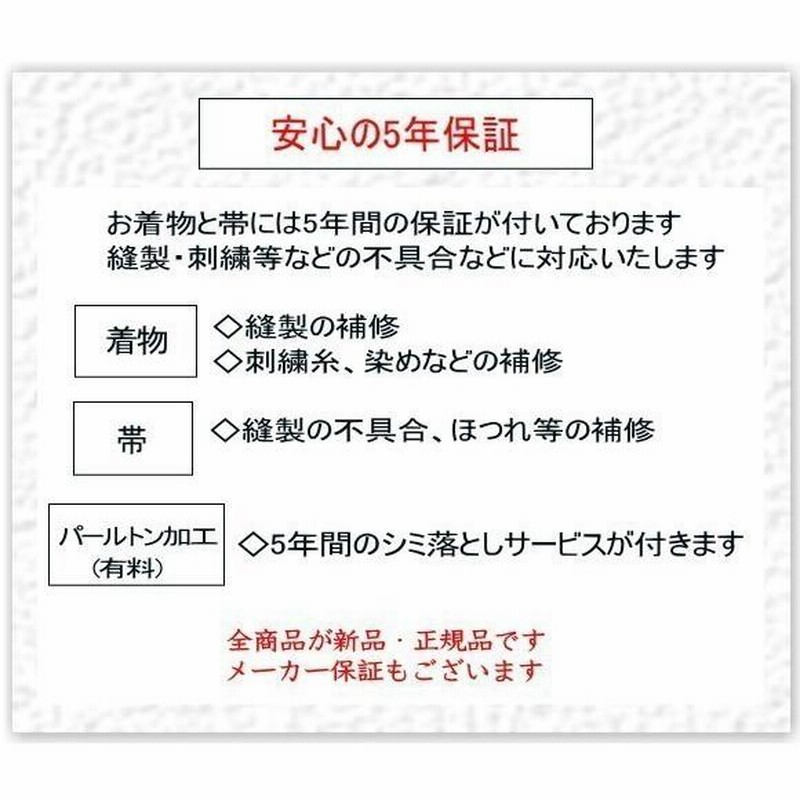仕立付き 正絹振袖 白色 くすみ色 梅柄 花と星×紺野彩夏 絹100% f-422 